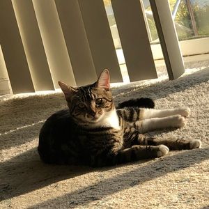 Meet your Posher, Abby